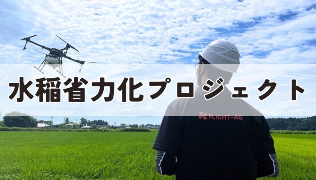 水稲省力化プロジェクト