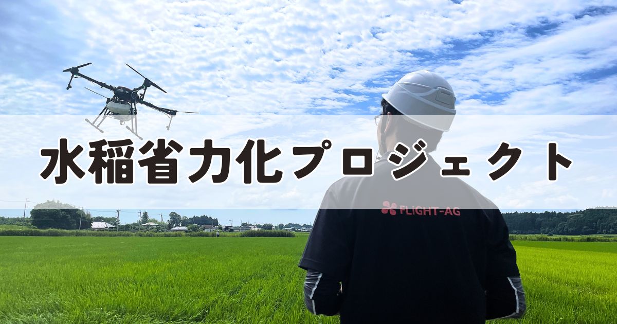 水稲省力化プロジェクト